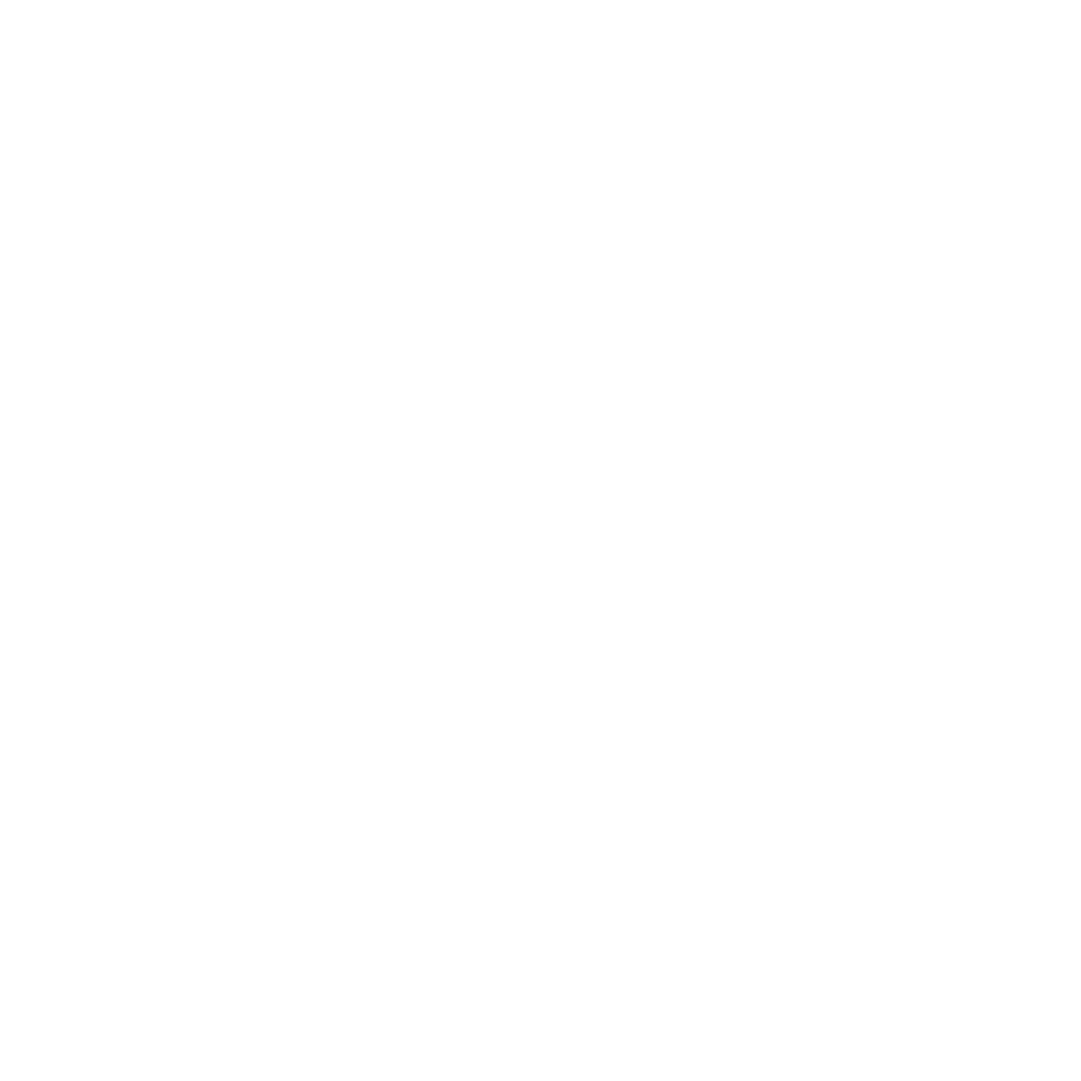 Faheem Sarwar Logo